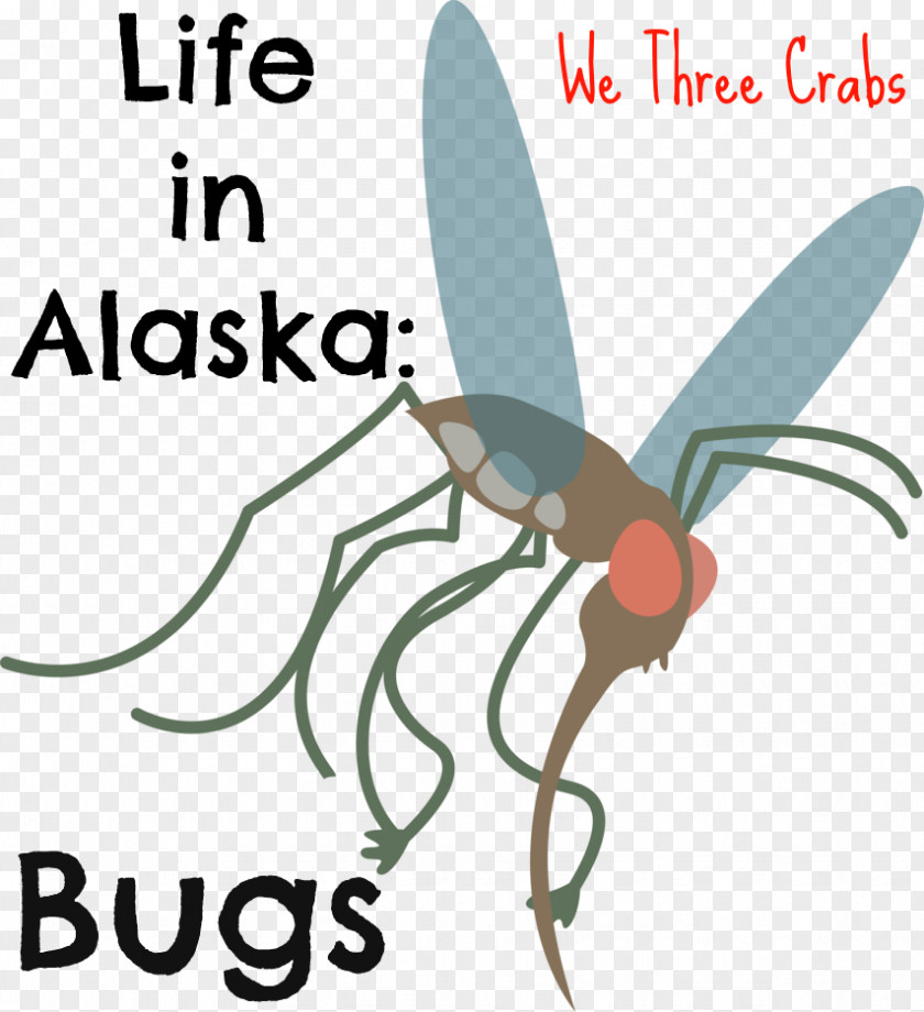 We Are Moving Fly Insect Ketchikan Aedes Albopictus Clip Art PNG