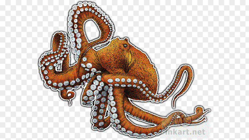 Octopus Cartoon Giant Pacific The Love Letter Cephalopod Art PNG