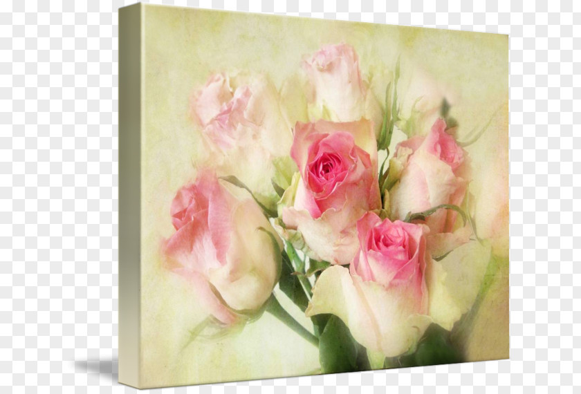 Victorian Rose Garden Roses Cabbage Pink Floral Design PNG