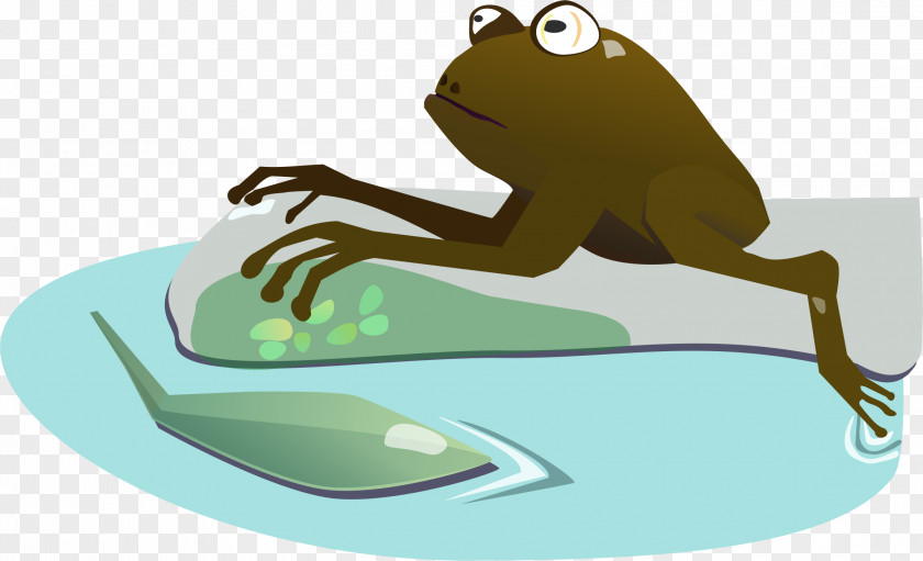 Wetland Cliparts Clip Art Openclipart Tree Frog Illustration PNG