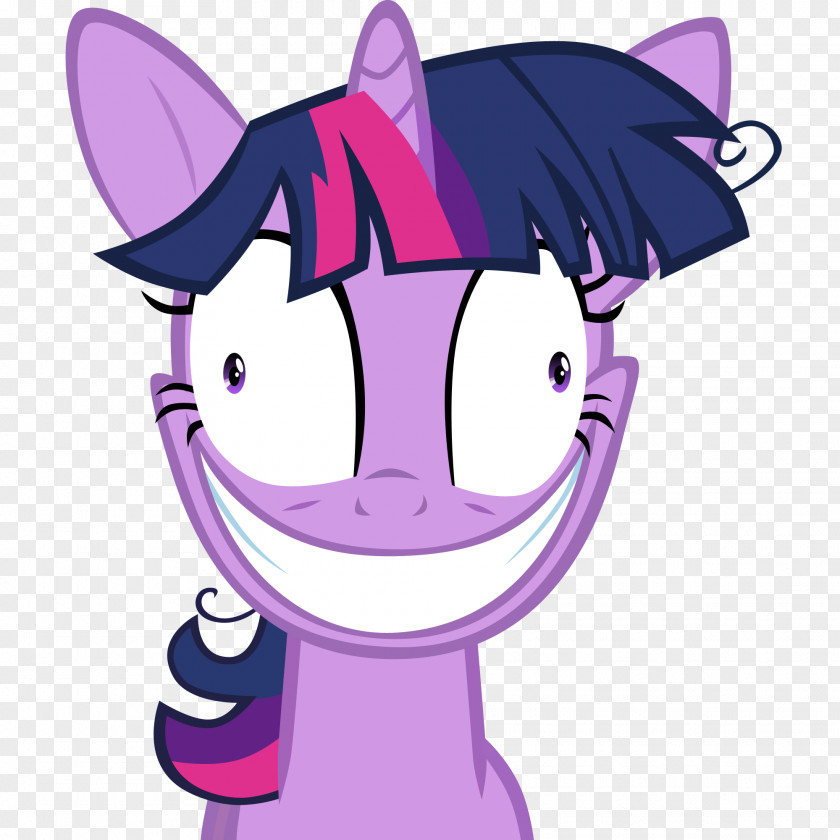 Crazy Image Twilight Sparkle Pinkie Pie Rarity Spike Pony PNG