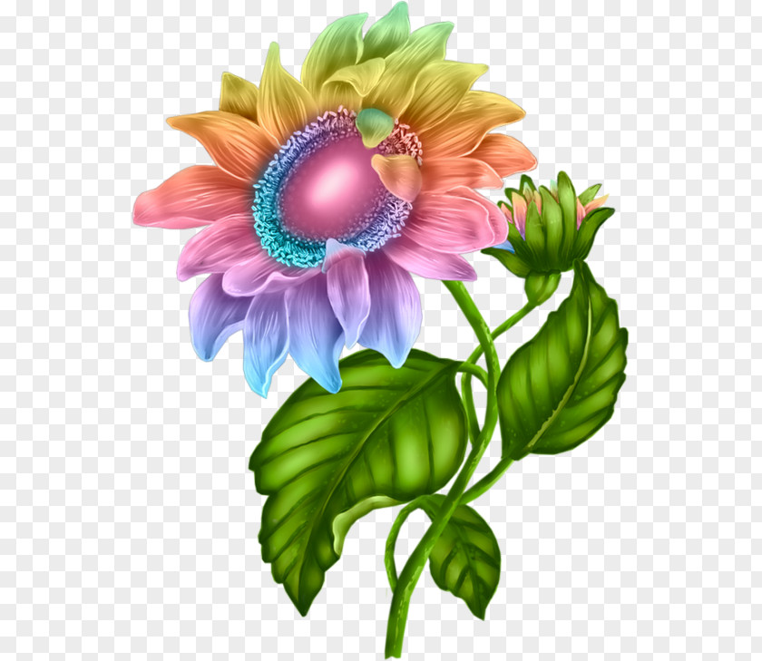 Artificial Flower Aster Bouquet Of Flowers Drawing PNG