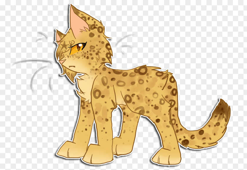 Cat Whiskers Cheetah Lion Leopard PNG