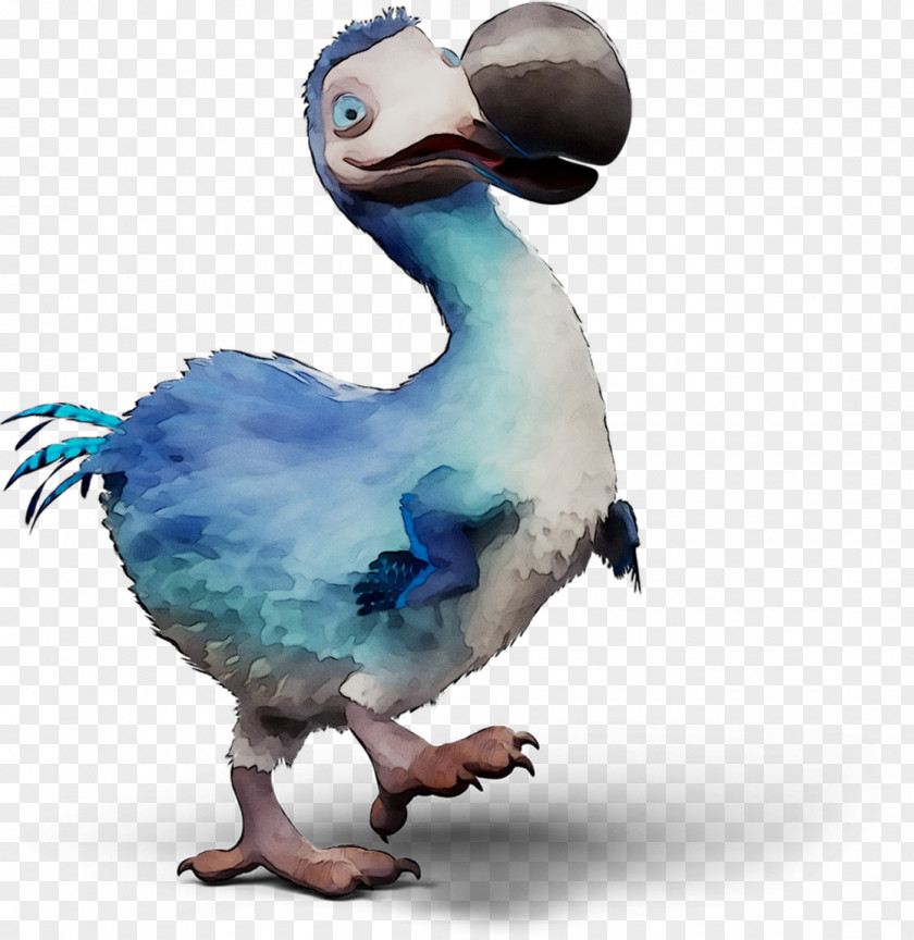 Cygnini Dodo Goose Duck Bird PNG