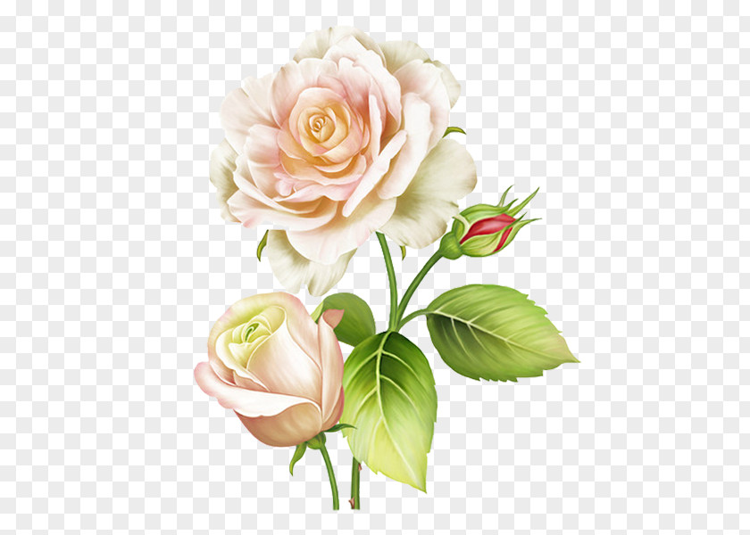 Flash Abziehtattoo Rose Flower PNG