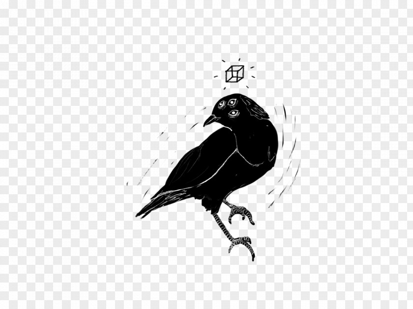 Abatement Streamer American Crow Drawing Illustration Ink Vector Graphics PNG