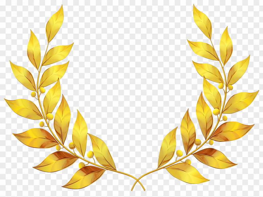 Flower Fashion Accessory Leaf Yellow Plant PNG