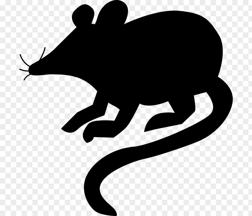 Mouse Computer Rat Clip Art PNG