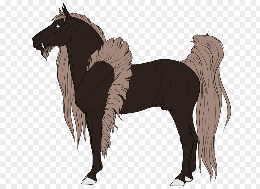 Mustang Foal Mane Mare Stallion PNG