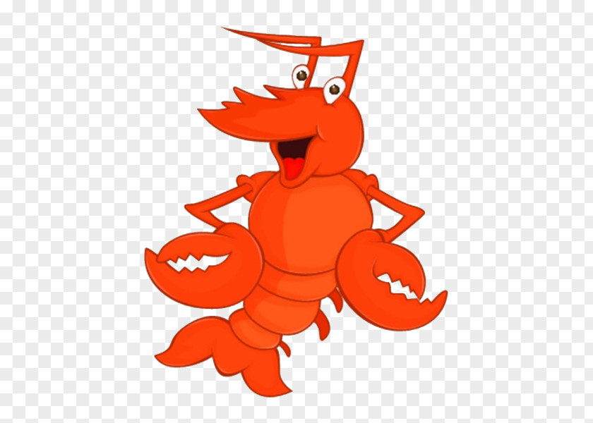 Orange Lobster Tail Drawing Royalty-free Clip Art PNG
