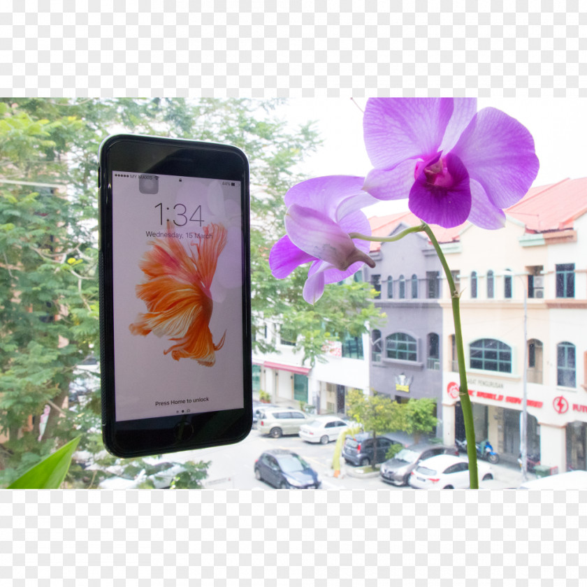 Purple Gadget Flower Cyan PNG