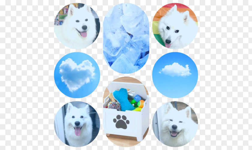 Aestheticism Cloud Dog Breed Puppy Canidae Snout PNG