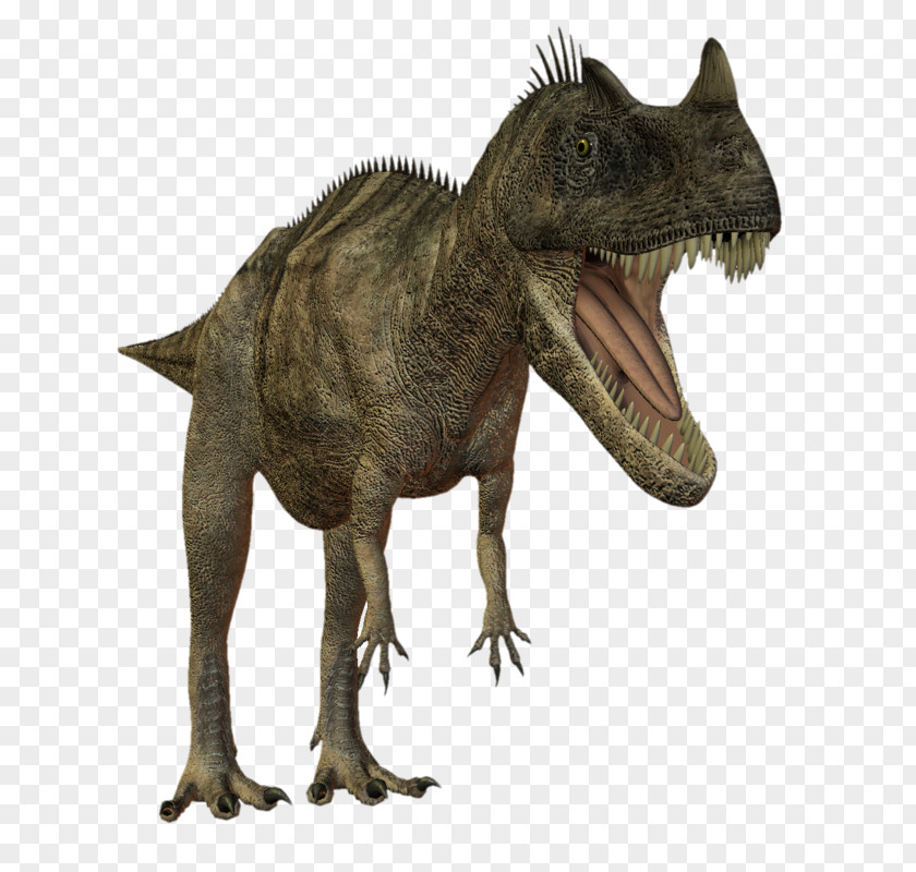 Dinosaurs Tyrannosaurus Dinosaur Animal Mesozoic Jurassic PNG