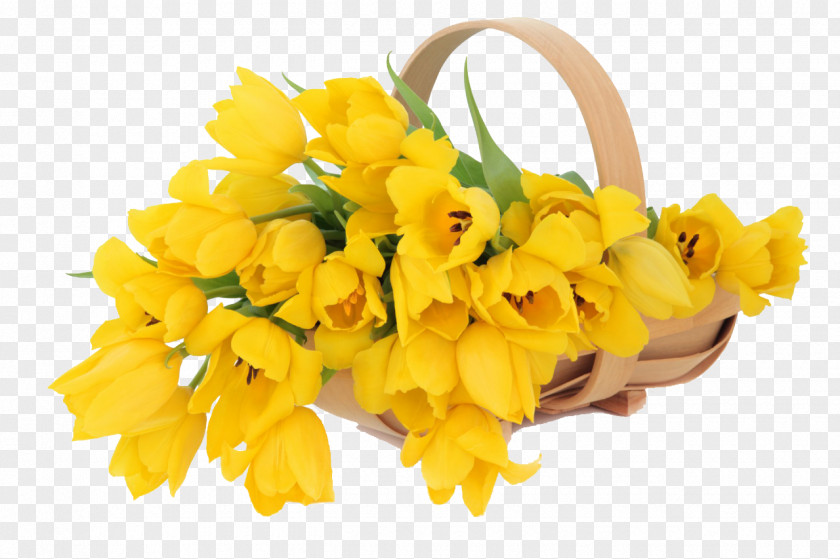 Flower Bouquet Tulip Yellow Stock Photography PNG