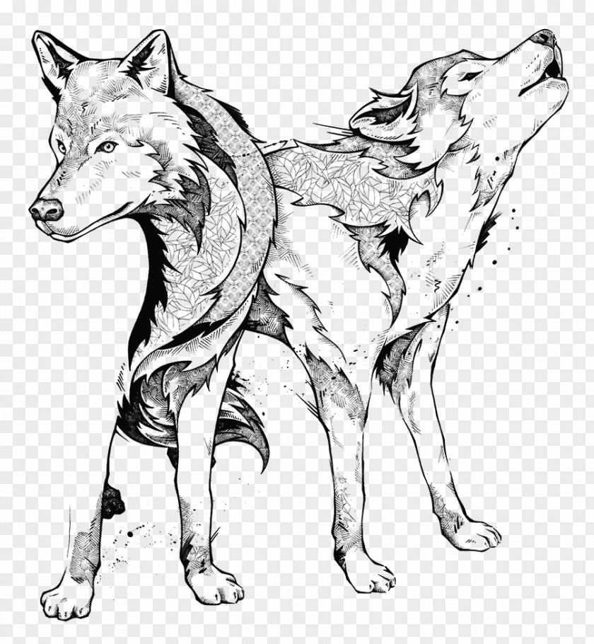 Watercolor Koi Line Art Drawing Black And White Gray Wolf PNG