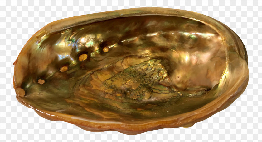 Bowl M Abalone PNG