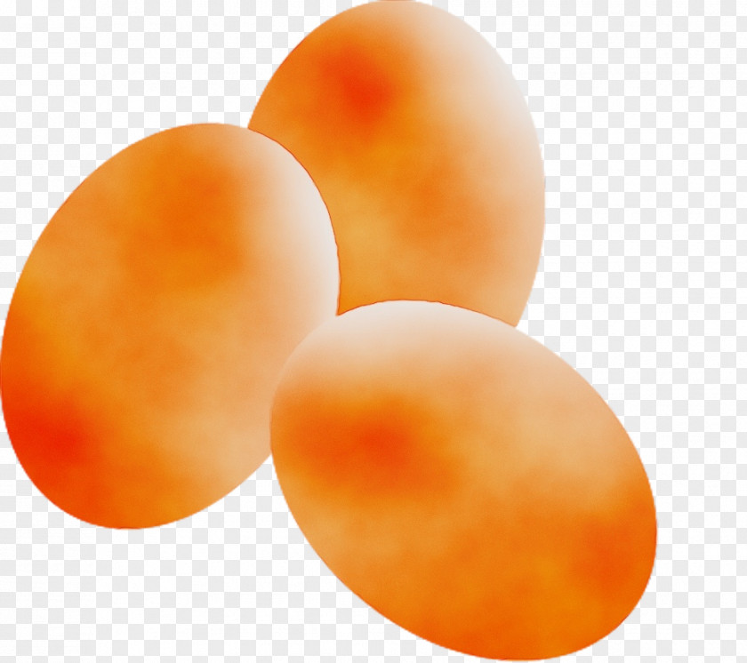 Egg PNG