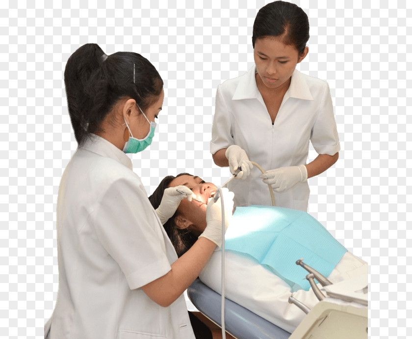 Excecutive Clinic Dentist Diana Dental Care Physician Assistant Therapy PNG