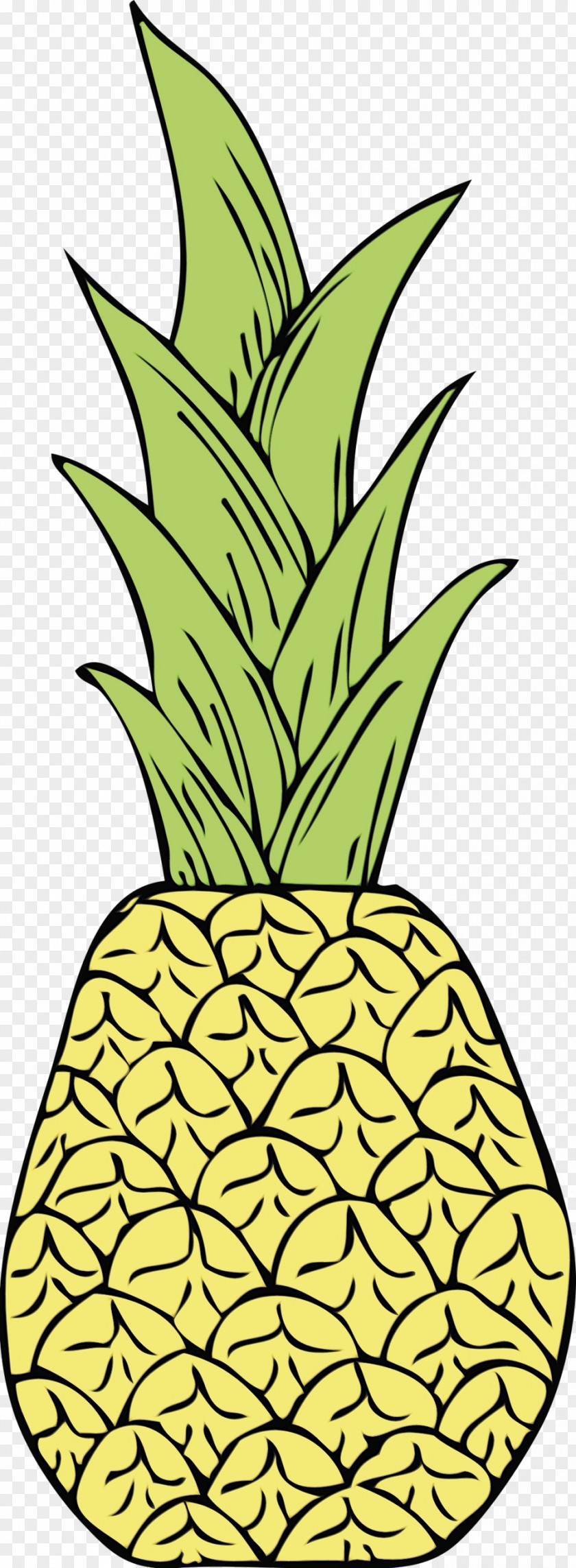 Fruit Houseplant Pineapple PNG