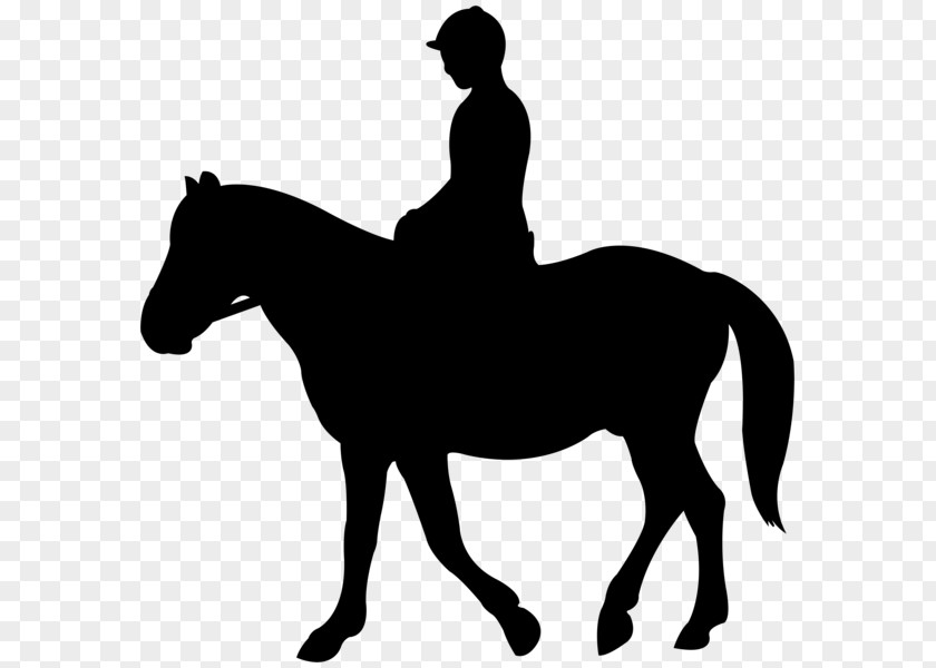 Mustang Jockey English Riding Silhouette Clip Art PNG