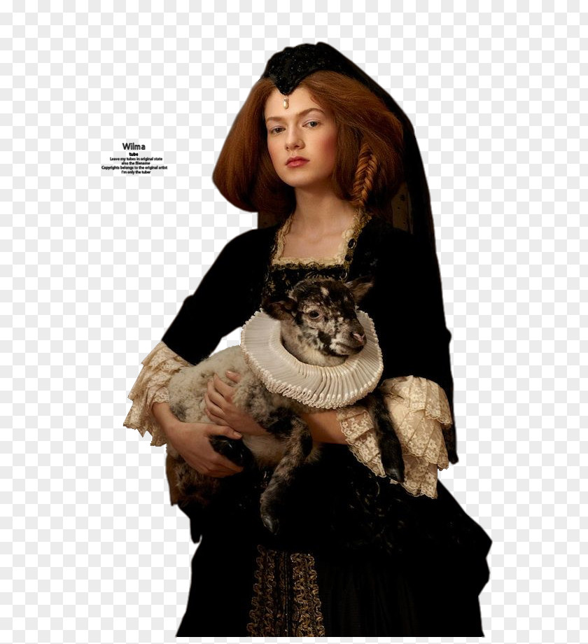 Painting Romina Ressia Photography Portrait Photographer PNG