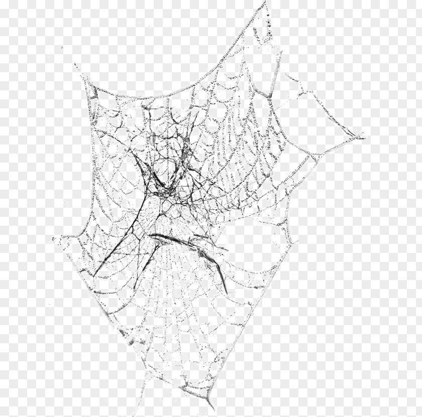 Black And White Spider Web Line Art Symmetry Pattern PNG