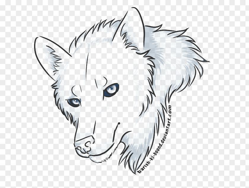 Dog Line Art Whiskers Drawing Head Shot PNG