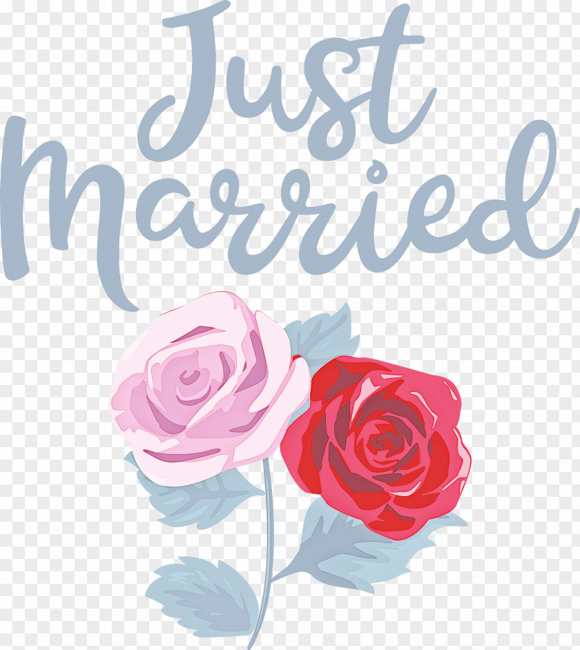 Just Married Wedding PNG