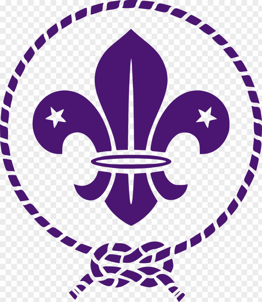 Scout Scouting For Boys World Organization Of The Movement Emblem Fleur-de-lis PNG