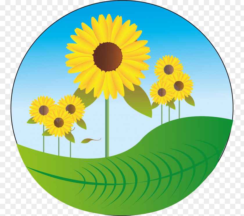 Environment Day Border Sunflower Vector Graphics Image Illustration PNG