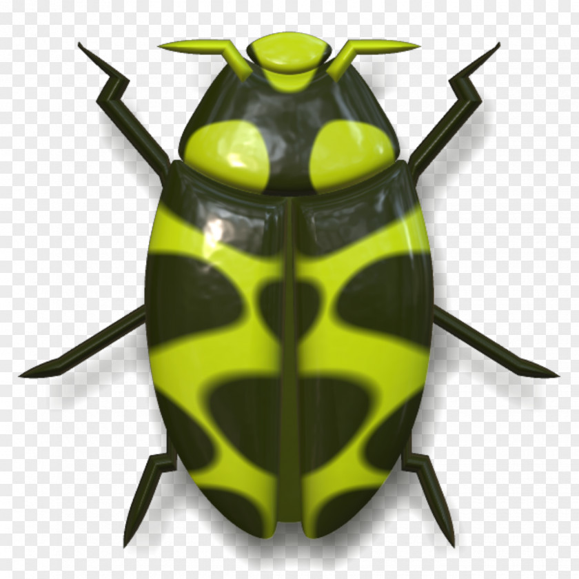 Green Striped Beetle Pixabay Clip Art PNG