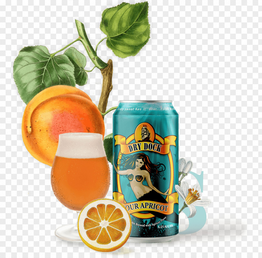 Sour And Sweet Orange Drink Beer Spoetzl Brewery Non-alcoholic PNG