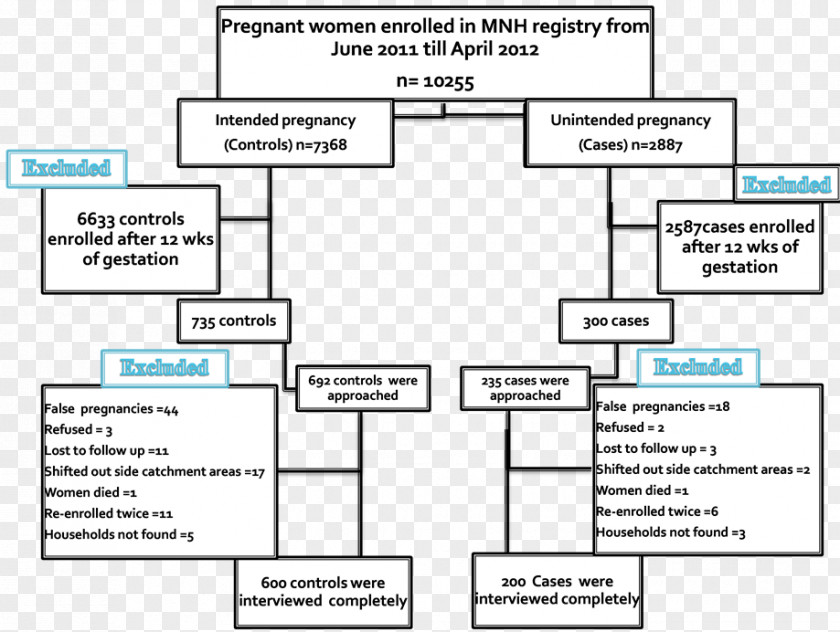 Unwanted Pregnancy Document Drawing Line Angle PNG