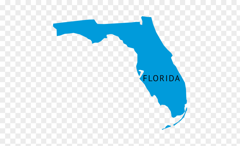 Design Florida Art Clip PNG