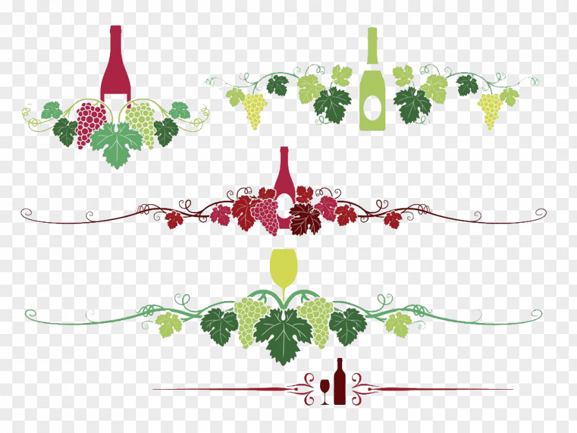Hand Painted Patterns Of Grape Vines Wine Common Vine PNG