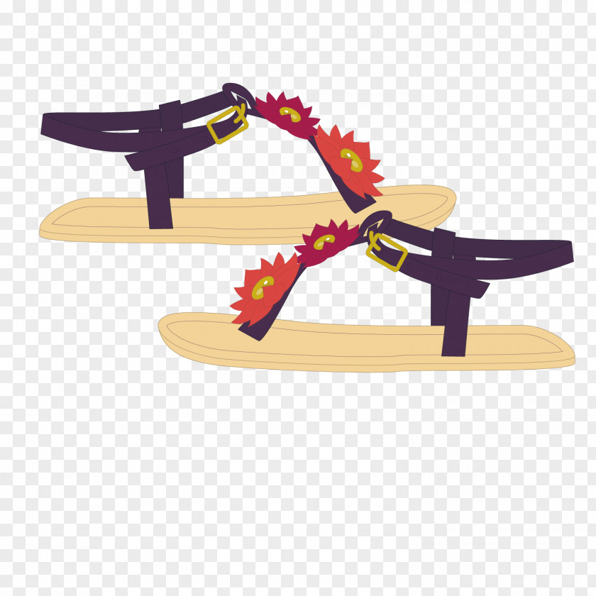 Ladies Sandals Sandal Shoe Flip-flops PNG