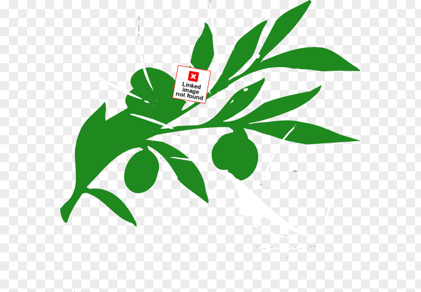 Leaf Oren's Hummus Shop Tree Plant Stem Clip Art PNG