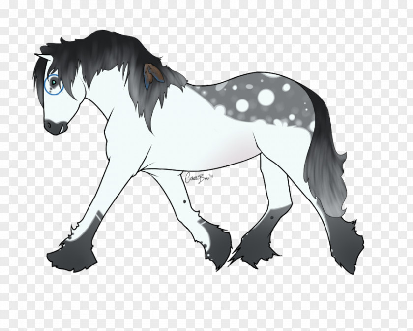 Mustang Mule Foal Stallion Mane PNG