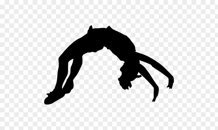 Gymnastics Cheerleading Tumbling Flip Clip Art PNG