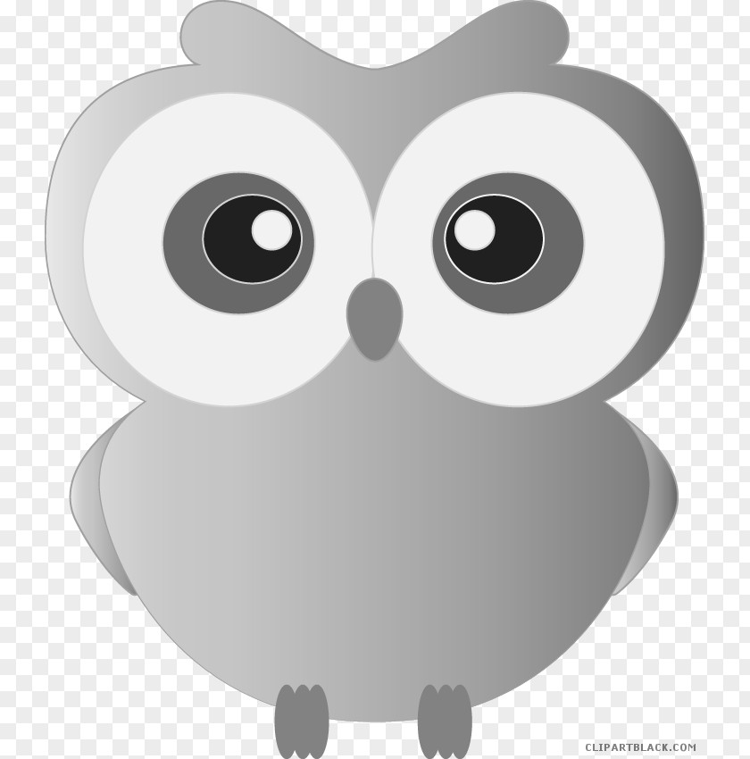 Owl Clip Art Openclipart Vector Graphics PNG