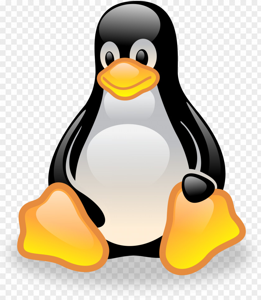 Pinguin Clip Art File Format Image PNG