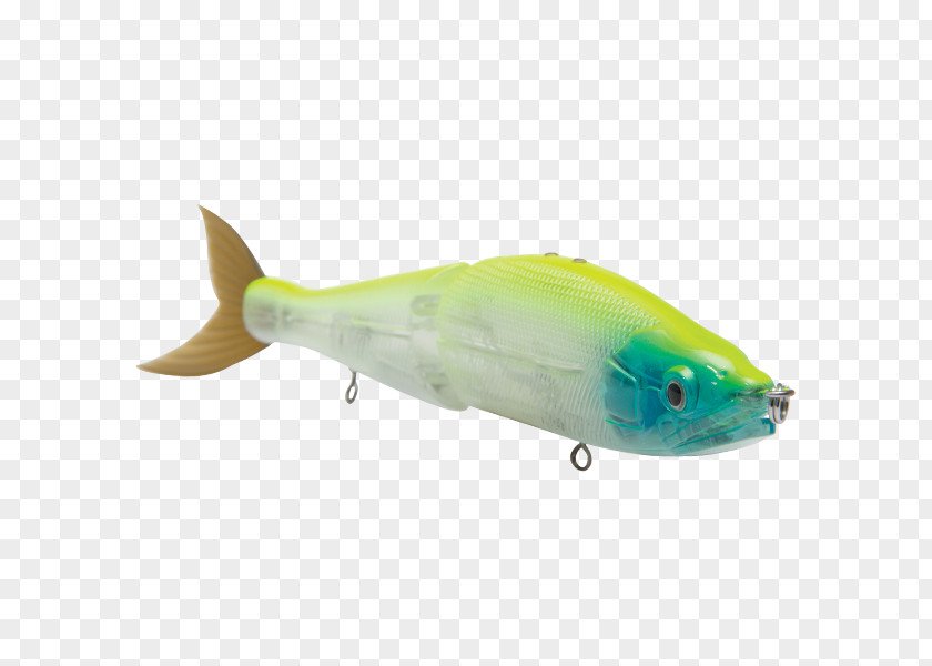 Sardine Spoon Lure Marine Biology Mammal Oily Fish PNG