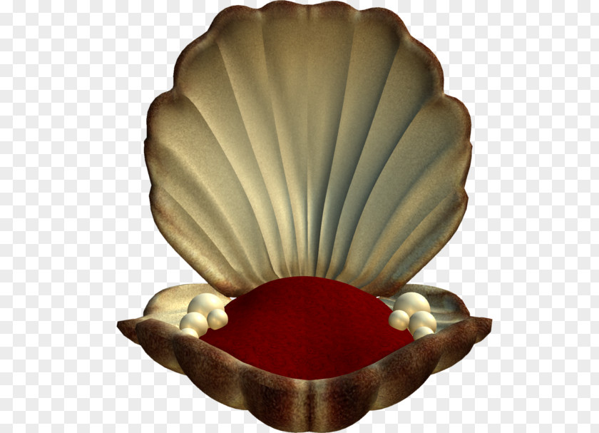 Seashell Psd People Clip Art Openclipart Image PNG