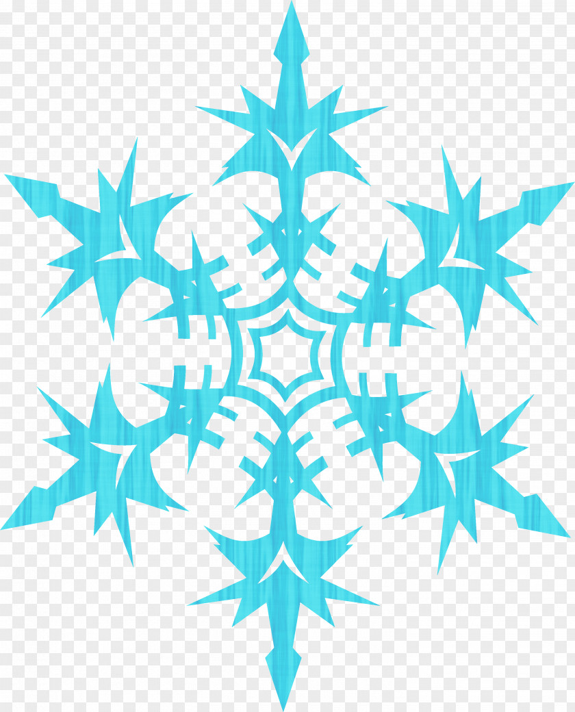 Snowflakes SparkNotes Understanding Quizlet Logo Symbol PNG
