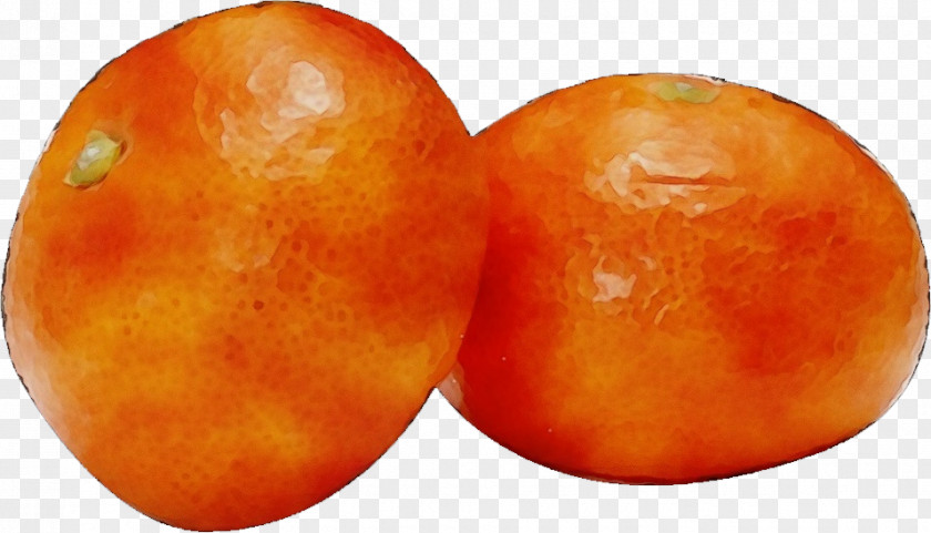 Vegetarian Food Plant Orange PNG