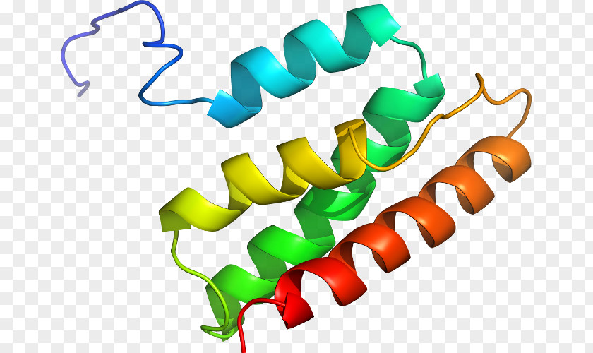 1deoxydxylulose 5phosphate Organism Line Clip Art PNG