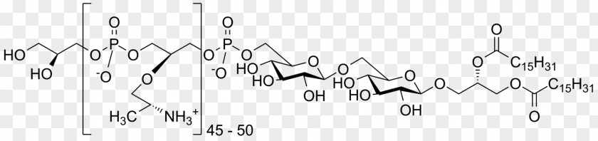 Acid Product Design Brand Angle PNG