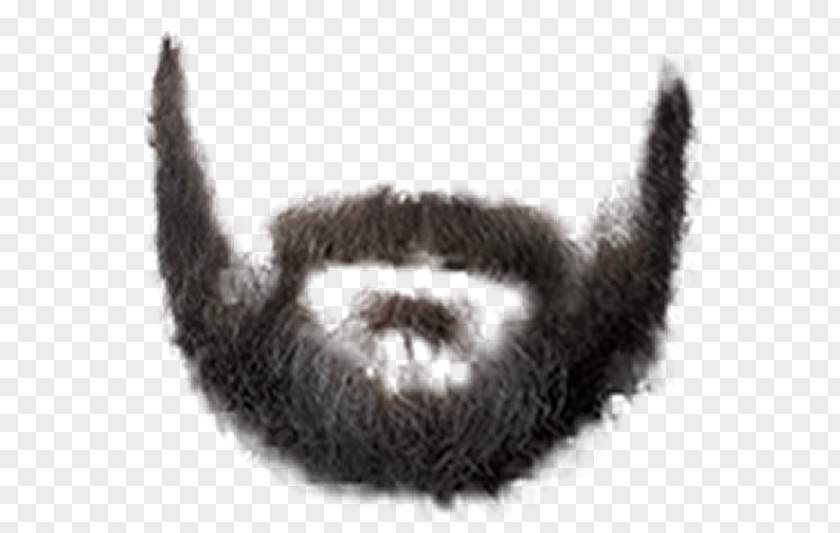 Beard And Moustache Clip Art PNG