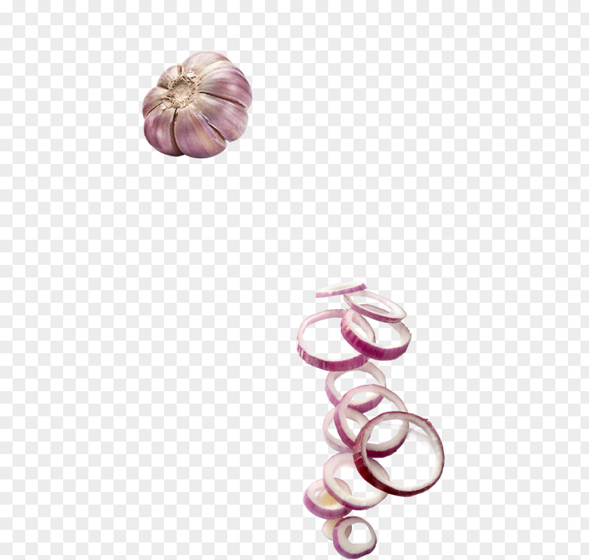 Creative Jewelry Cartoon Onion Garlic Allium Fistulosum PNG