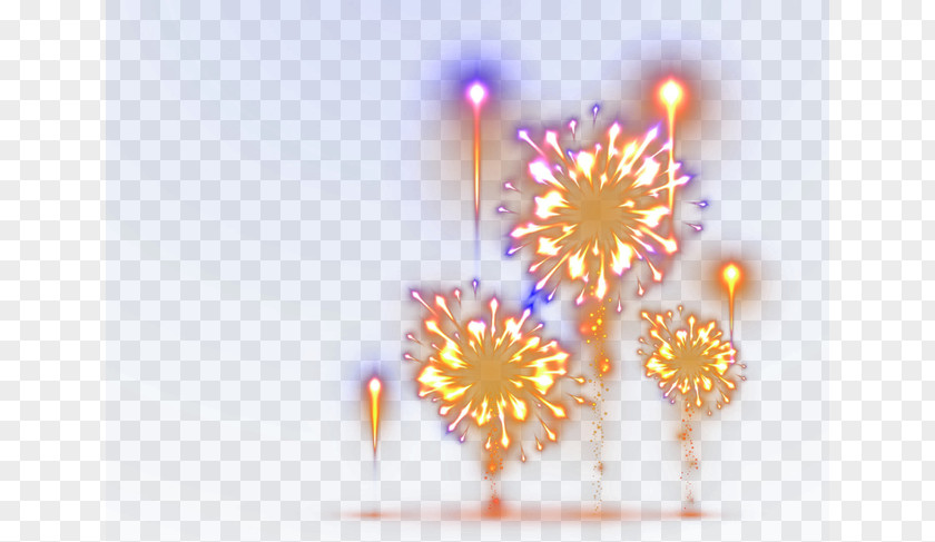 Fireworks Purple Petal Wallpaper PNG